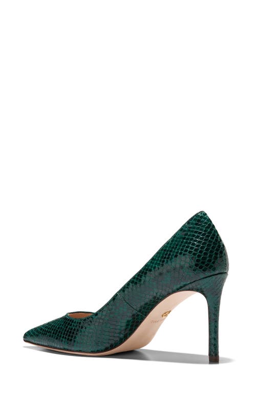 Shop Cole Haan Mckelya Pointed Toe Pump In Ponderose Croco