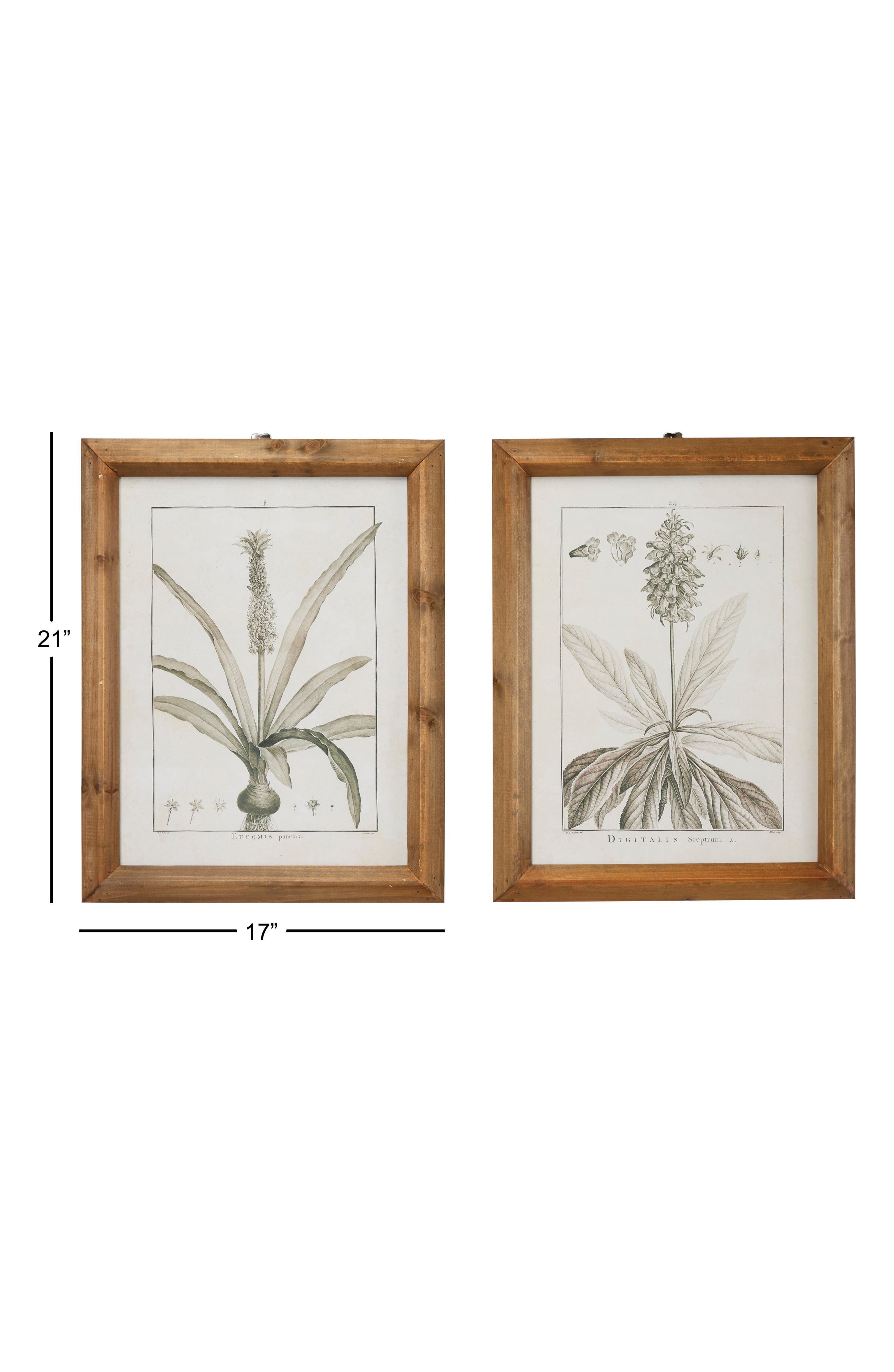 GINGER BIRCH STUDIO Wood Framed Art Prints Set of 2 Nordstromrack
