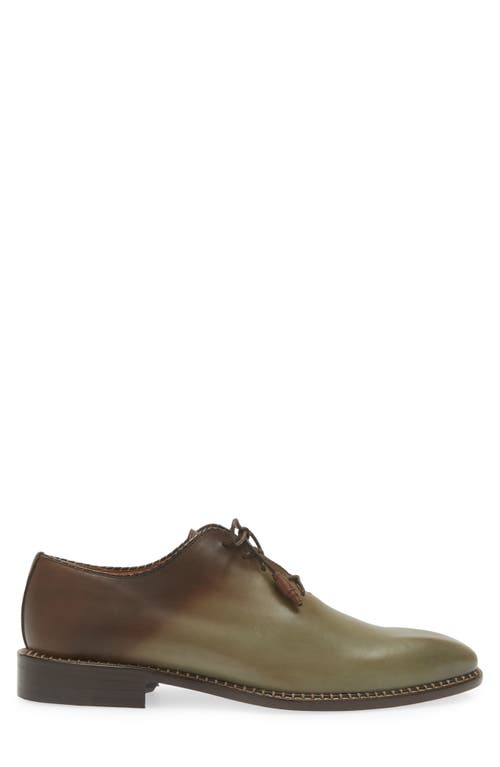 Shop Mezlan Barbaro Oxford In Olive/mocha