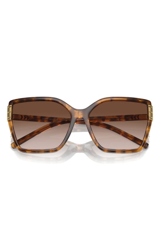 Shop Tory Burch 58mm Eleanor Square Sunglasses In Tortoise