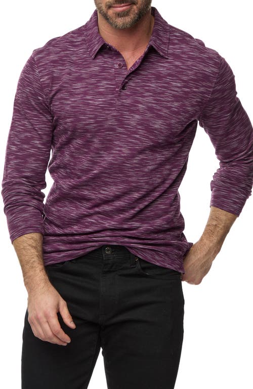 Shop Robert Graham Thales Space Dye Long Sleeve Polo In Dark Purple