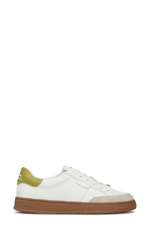 Shop Circus Ny By Sam Edelman Vance Sneaker In Bright White/cactus