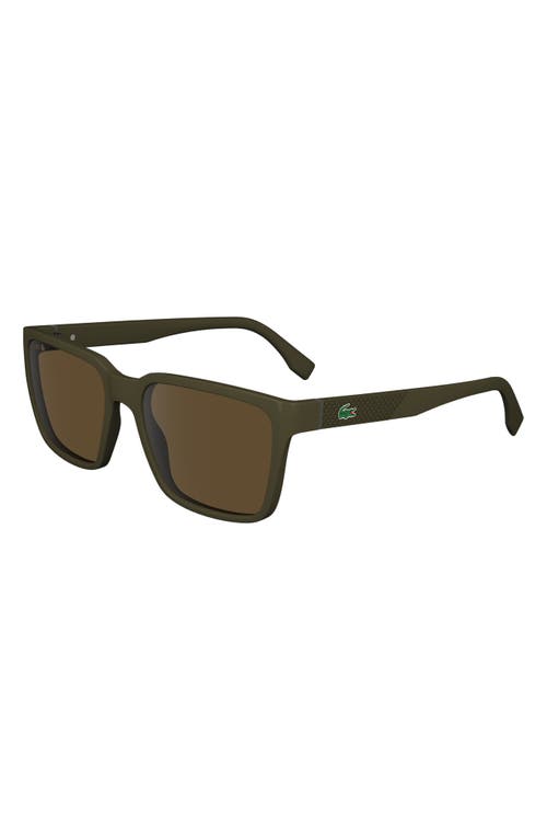 Shop Lacoste 56mm Rectangular Sunglasses In Brown/khaki