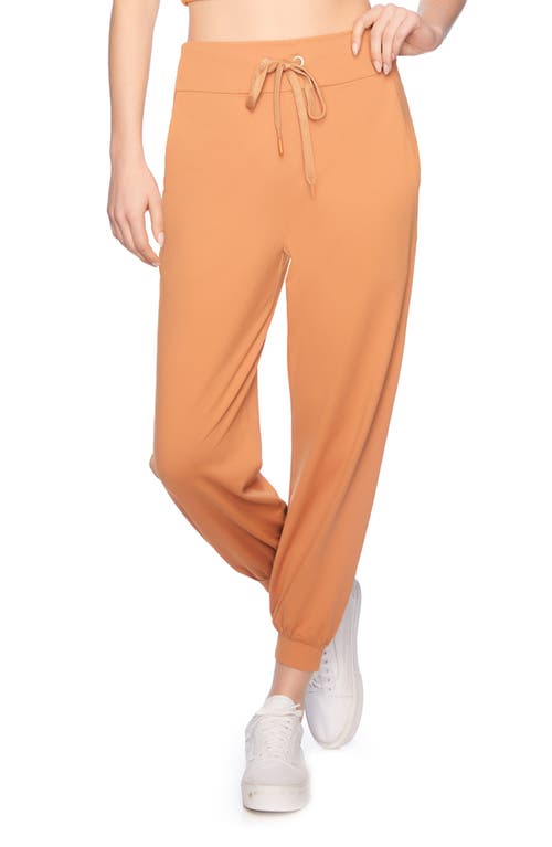 Susana Monaco Drawstring Ankle Joggers In Caramel