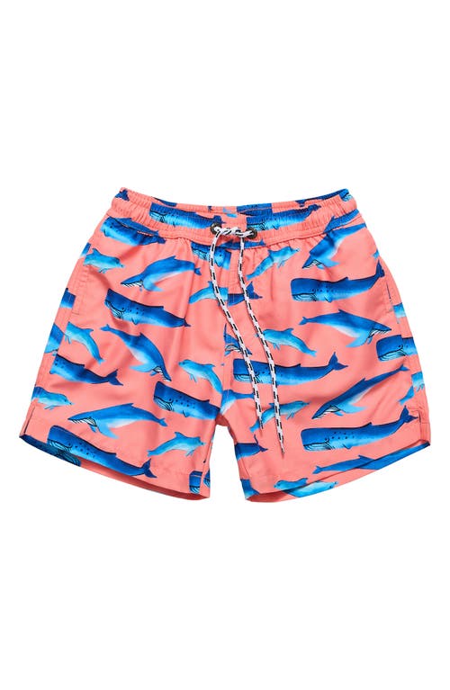Snapper Rock Kids' Whale Tail Swim Trunks Peach at Nordstrom,