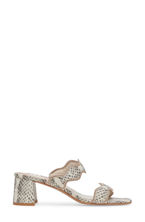 Dolce Vita Ilva Mid Slide Sandal In Grey/white Embossed Leather