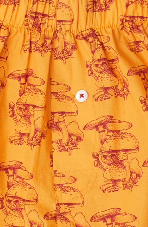 Shop Druthers Nyc Organic Cotton Gorey Sketch Shroom Boxer Short In Butterscotch