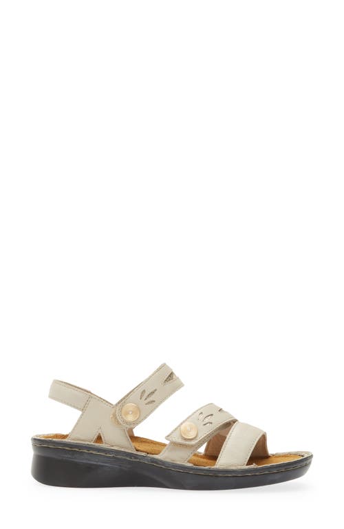 Shop Naot Cadence Sandal In Soft Ivory/radiant Gold