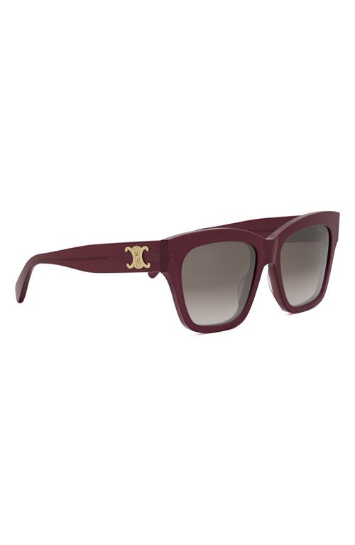 Shop Celine Triomphe 55mm Round Sunglasses In Shiny Bordeaux/brown