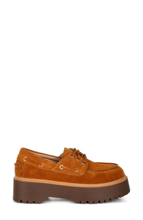 Rag & Co Women's Yellow / Orange Cuckatoos Chunky Real Suede Leather Oxford Loafers In Tan In Tan