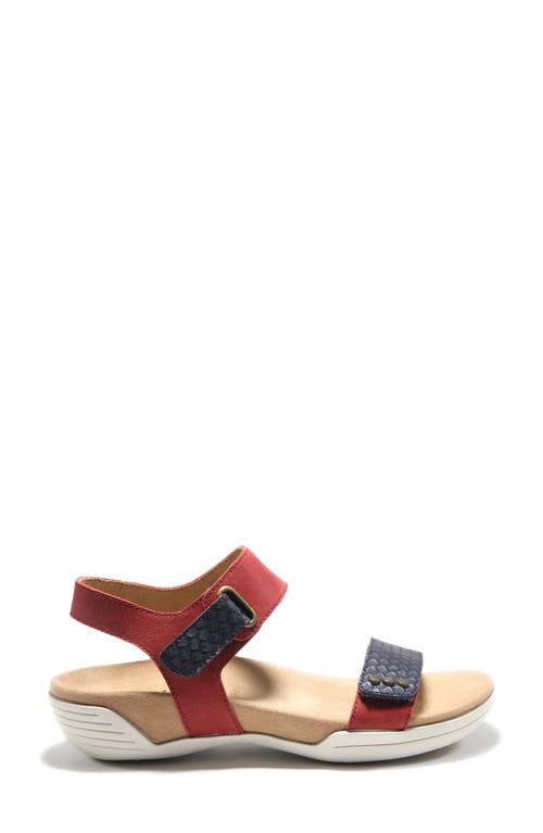 Hälsa Footwear Dominica Sandal in Dark Red/Navy Leather