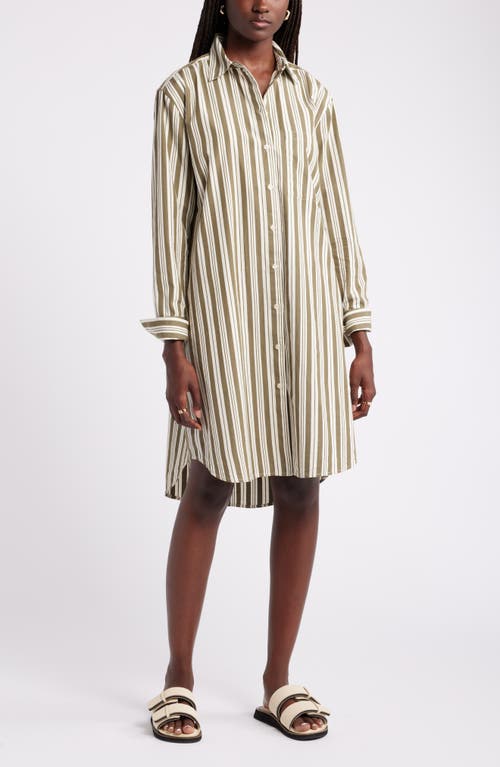 Shop Nordstrom Stripe Long Sleeve Cotton Shirtdress In Olive- Ivory Leon Stripe