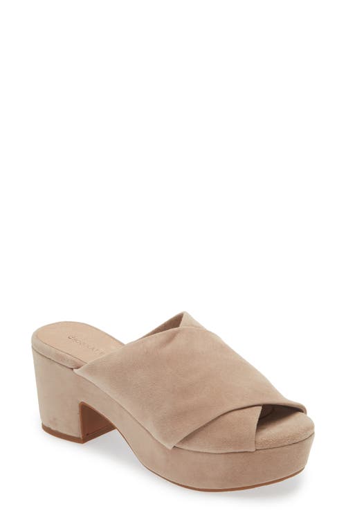 Shop Chocolat Blu Georgette Platform Slide Sandal In Latte Suede