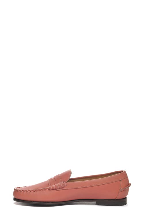 Shop Sebago Danielle Pop Loafer In Chiffon