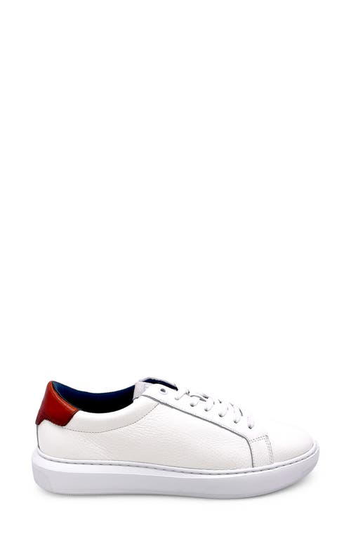 Shop G Brown Puff Sneaker In White/red