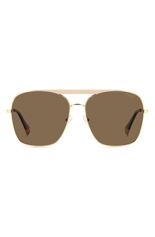 59mm Flat Front Polarized Square Sunglasses in Mate Ivory-Gold/Bronze Polar
