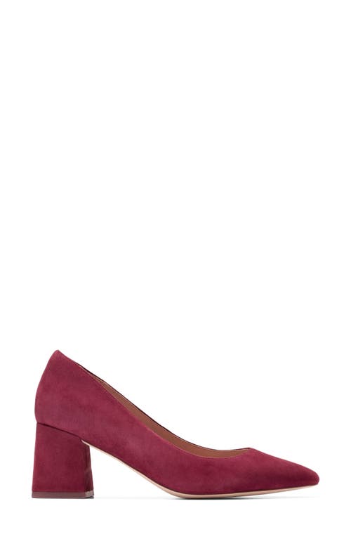 Shop Cole Haan Cassandra Pointed Toe Pump In Cherry Black