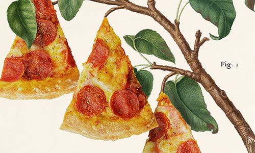 Deny Designs Pizza Plant Cutting Board In Multi Beige