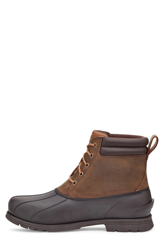 Shop Ugg Gatson Waterproof Boot In Chestnut Leather