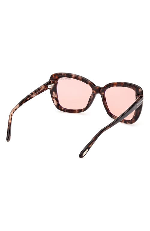 Shop Tom Ford 55mm Butterfly Sunglasses In Colored Havana/violet