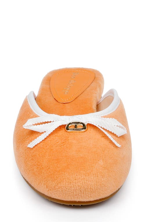 Dee Ocleppo Athens Terry-cloth Mules In Orange
