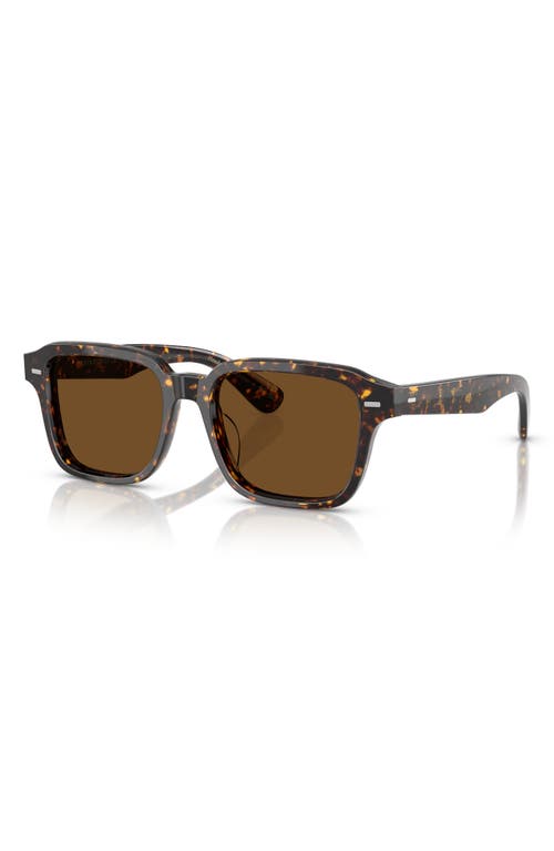 Oliver Peoples 51mm Pillow Sunglasses In Brown Tortoise