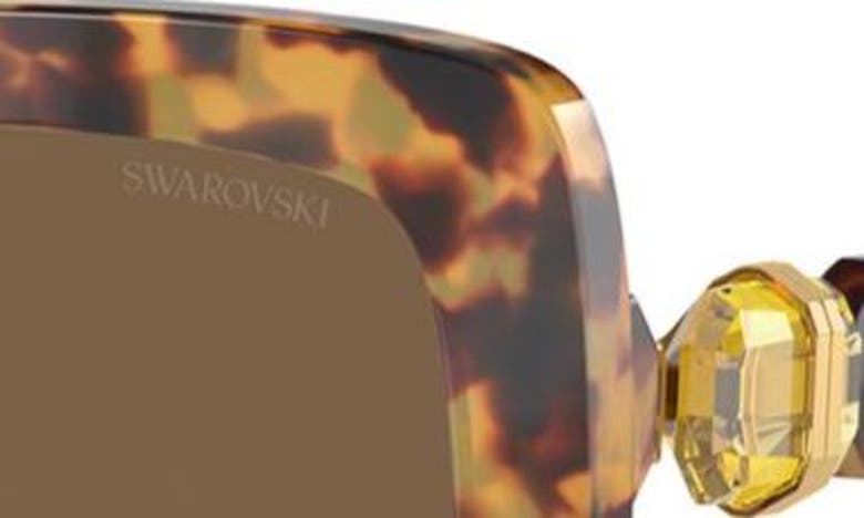 Swarovski 55mm Square Sunglasses In Lite Havana