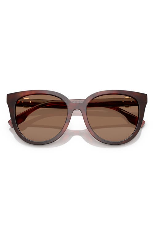 Tory Burch 56mm Phantos Sunglasses In Dark Brown