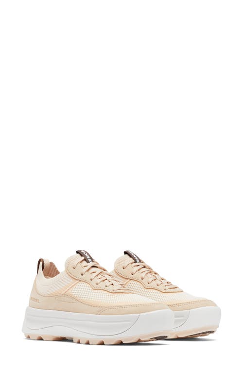 SOREL Ona 503 Low Top Platform Sneaker in White Peach/Nova Sand at Nordstrom, Size 8