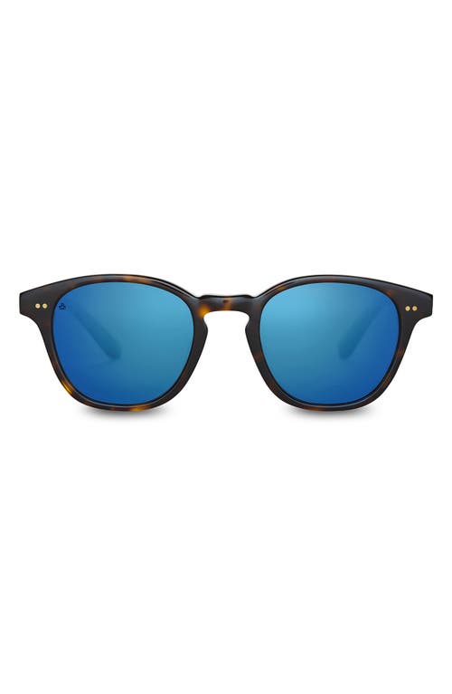 TOMS TOMS WYATT SMALL 49MM ROUND SUNGLASSES