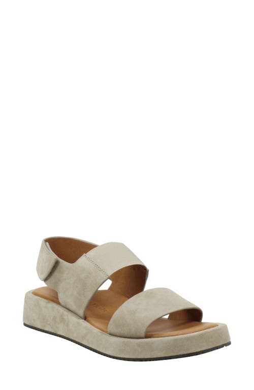 L'Amour des Pieds Ainsley Sandal in Taupe Suede