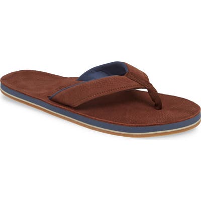Hari Mari Piers Flip Flop, Brown
