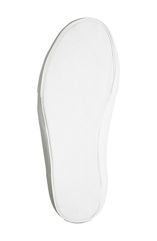 Official Program Canvas Lace-up Sneaker In Off White/white