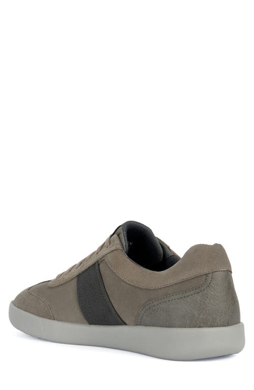 Shop Geox Rieti Sneaker In Dove Grey/mud