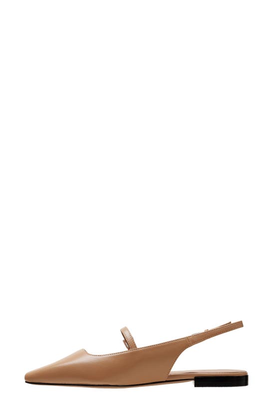 Shop Linea Paolo Celeste Slingback Pointed Toe Flat In Desert