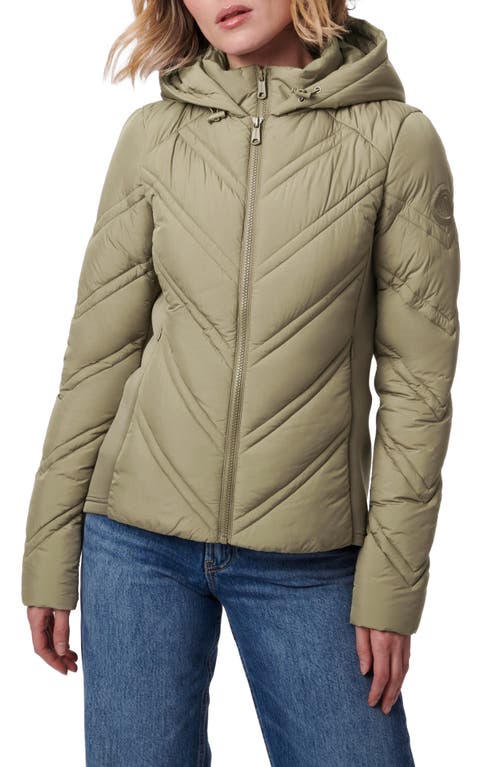 Shop Bernardo Hooded Puffer Jacket With Bib In Sage