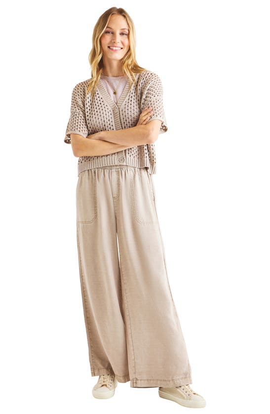 Splendid Nova Short Sleeve Cotton Pointelle Cardigan In Fawn