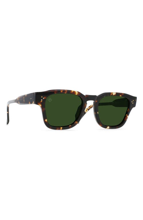 Shop Raen Rece 51mm Polarized Square Sunglasses In Brindle Tortoise/green Polar