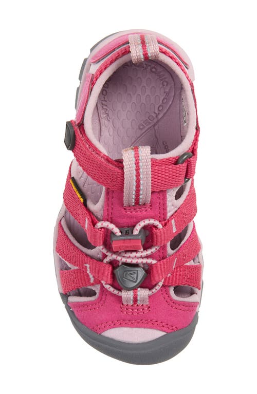 Shop Keen Seacamp Ii Cnx Water Friendly Sandal In Berry/pink