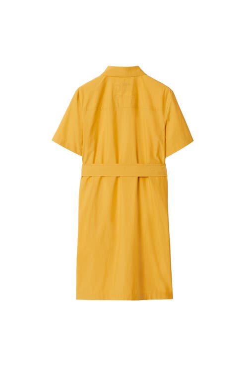 Shop Burberry Cotton Blend Shirt Dress In Sunflower