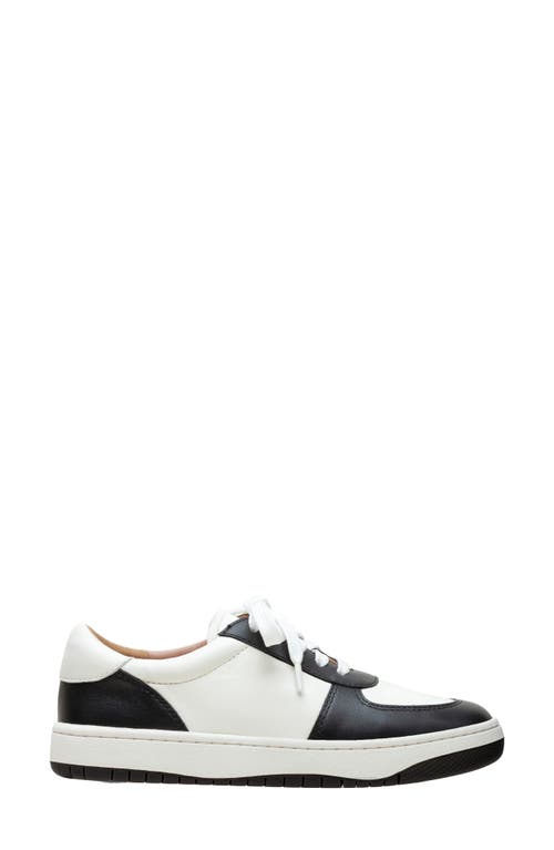 Shop Linea Paolo Krista Sneaker In Eggshell/black