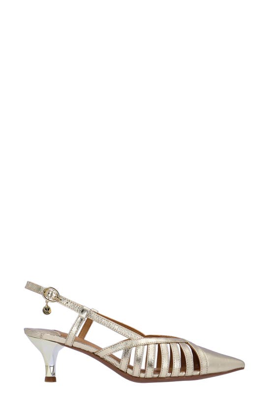 Shop J. Reneé Lorel Slingback Pointed Toe Pump In Gold