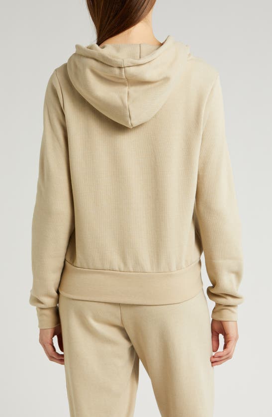 Shop Aviator Nation 5-stripe Zip Hoodie In Sand/ Tan