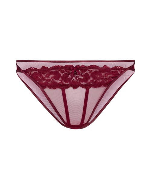 Adore Me Lacie Bikini Panties In Dark Purple
