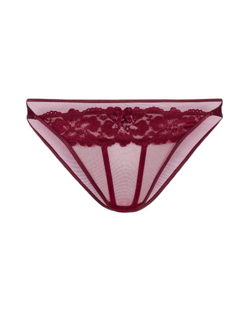 Shop Adore Me Lacie Bikini Panties In Dark Purple