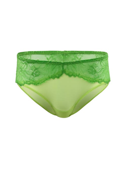 Shop Adore Me Cyla Hipster Panties In Medium Green