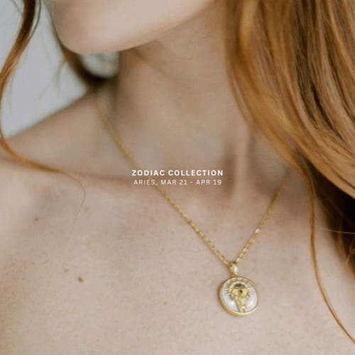 Freya Rose Zodiac Necklace In Scorpio