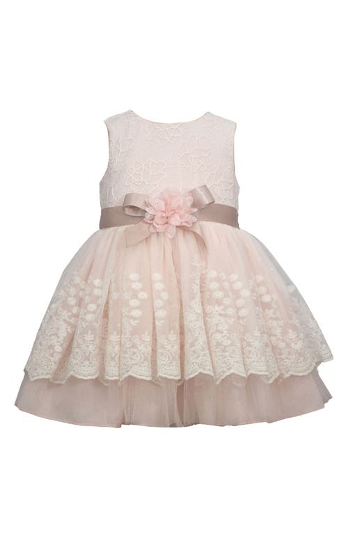 Iris & Ivy Floral Embroidered Lace Party Dress & Bloomers in Blush