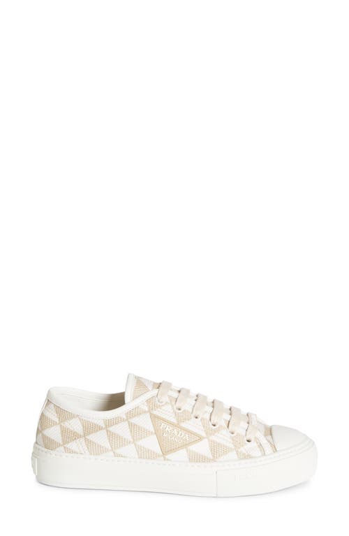 Shop Prada Triangle Jacquard Low Top Sneaker In Beige/white