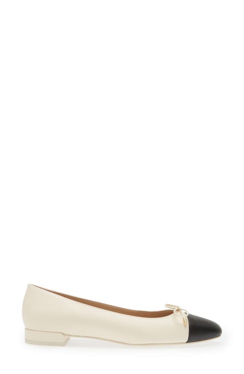 Shop Stuart Weitzman Sleek Cap Toe Bow Flat In Seashell/black